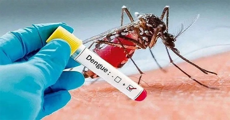 ডেঙ্গু আক্রান্ত হয়ে হাসপাতালে আরও ২৯৪ জন