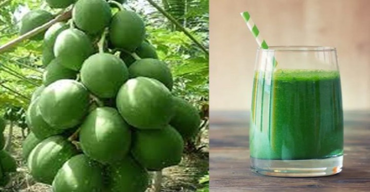 কাঁচা পেঁপের জুস খেলে কী হয়?