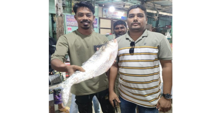 এক ইলিশের দাম ১৩ হাজার ৩৮৭ টাকা!
