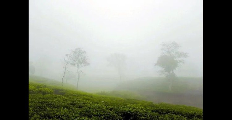 দেশের সর্বনিম্ন তাপমাত্রা শ্রীমঙ্গলে, পারদ ৮ ডিগ্রির ঘরে