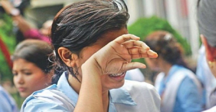 এইচএসসিতে ২০২ শিক্ষাপ্রতিষ্ঠানের সব শিক্ষার্থী ফেল