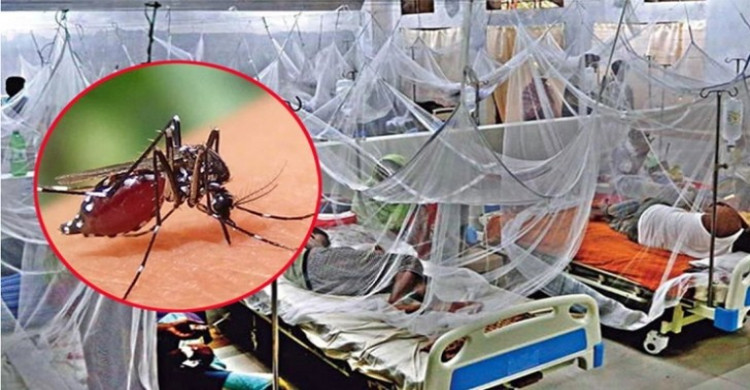 চব্বিশ ঘণ্টায় ডেঙ্গুতে ৫ জনের মৃত্যু
