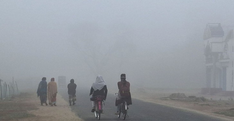 পঞ্চগড়ে বেড়েছে শীতের তীব্রতা, ৮ ডিগ্রিতে তাপমাত্রা