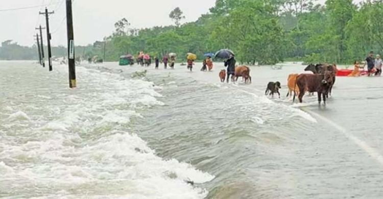 হাওরাঞ্চলের ৮টি পয়েন্টে পানি বিপৎসীমার ওপরে, বন্যার আশঙ্কা